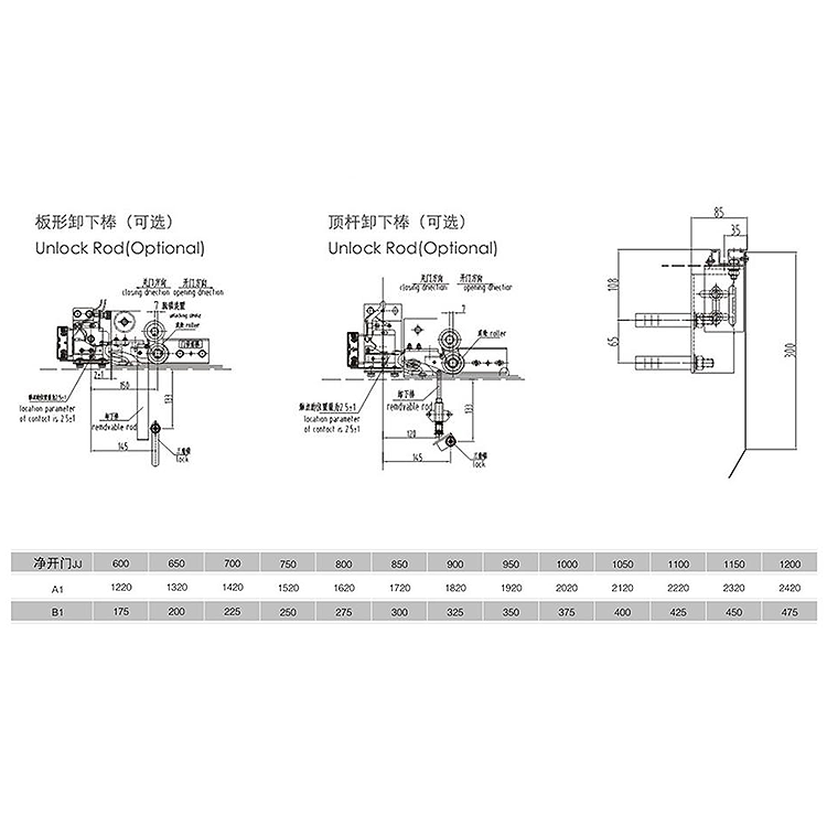 AF-OCM01-BW parameter