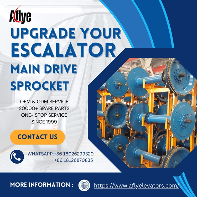 What Safety Risks Can Escalator Main Drive Sprocket Wear Cause?