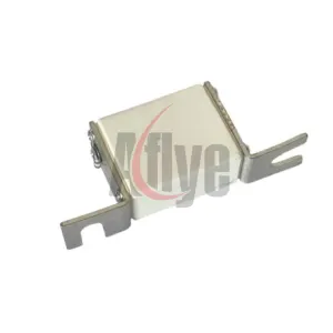 Elevator Fuse R5184953