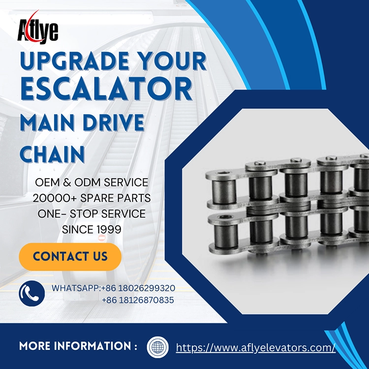 Escalator Main Drive Chain Wear: Causes & Solutions