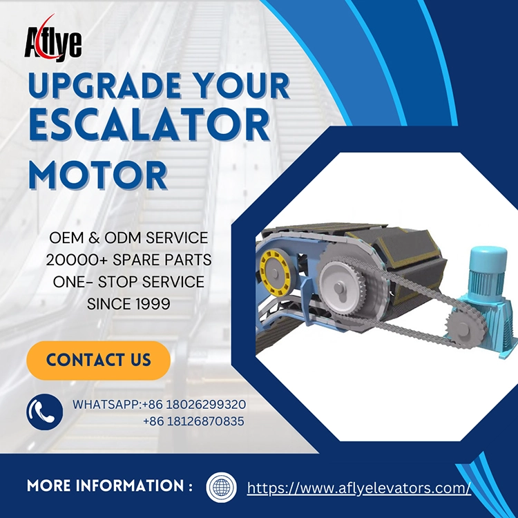 Escalator Motor Lubrication & Durable Parts Maintenance