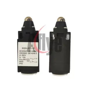 Elevator Limited Switch X42A-H11/1R