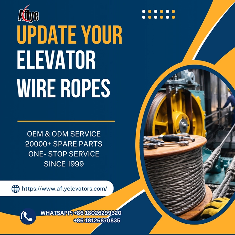 Risk Analysis of Insufficient Lubrication of Elevator Wire Ropes