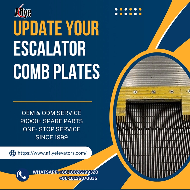 Analysis of the Safety Risks Caused by Damaged Escalator Comb Plates